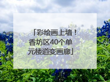 彩绘画上墙！香坊区40个单元楼道变画廊