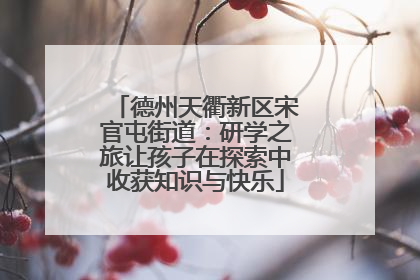 德州天衢新区宋官屯街道：研学之旅让孩子在探索中收获知识与快乐