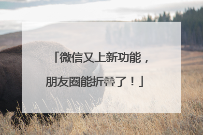 微信又上新功能，朋友圈能折叠了！