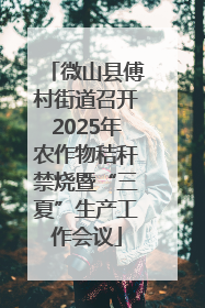微山县傅村街道召开2025年农作物秸秆禁烧暨“三夏”生产工作会议