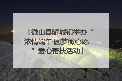 微山县驩城镇举办“浓情端午·圆梦微心愿”爱心帮扶活动