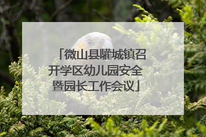 微山县驩城镇召开学区幼儿园安全暨园长工作会议