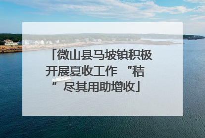 微山县马坡镇积极开展夏收工作 “秸”尽其用助增收