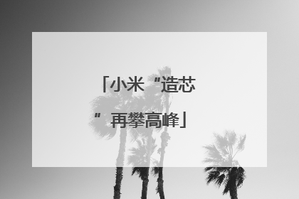 小米“造芯”再攀高峰