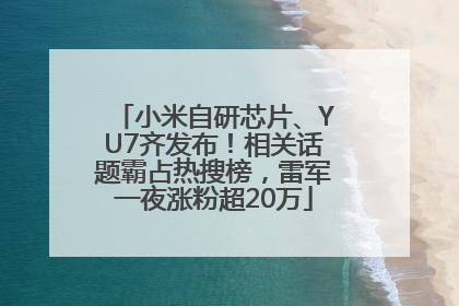 小米自研芯片、YU7齐发布！相关话题霸占热搜榜，雷军一夜涨粉超20万