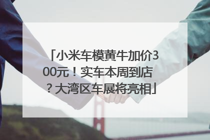 小米车模黄牛加价300元！实车本周到店？大湾区车展将亮相