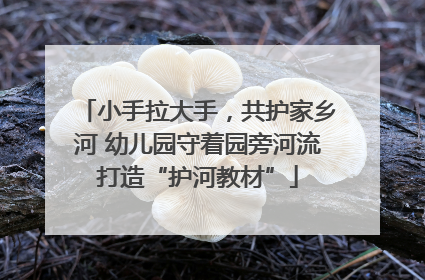 小手拉大手，共护家乡河 幼儿园守着园旁河流打造“护河教材”