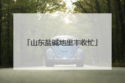 山东盐碱地里丰收忙