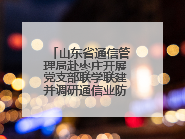 山东省通信管理局赴枣庄开展党支部联学联建并调研通信业防汛准备工作