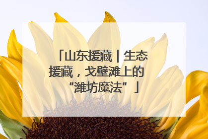 山东援藏｜生态援藏，戈壁滩上的“潍坊魔法”