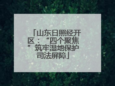 山东日照经开区：“四个聚焦”筑牢湿地保护司法屏障