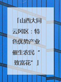山西大同云冈区：特色优势产业催生农民“致富花”