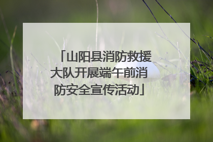 山阳县消防救援大队开展端午前消防安全宣传活动
