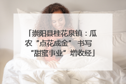 崇阳县桂花泉镇：瓜农“点花成金” 书写“甜蜜事业”增收经