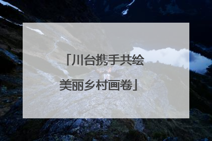 川台携手共绘美丽乡村画卷