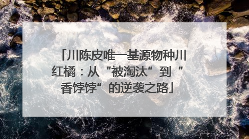 川陈皮唯一基源物种川红橘：从“被淘汰”到“香饽饽”的逆袭之路