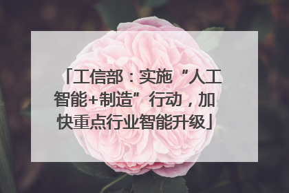 工信部：实施“人工智能+制造”行动，加快重点行业智能升级
