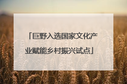 巨野入选国家文化产业赋能乡村振兴试点