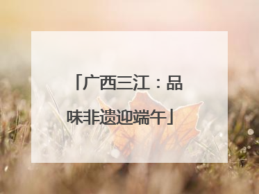 广西三江：品味非遗迎端午