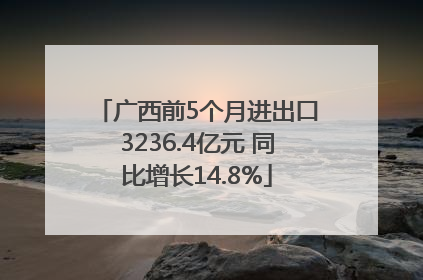 广西前5个月进出口3236.4亿元 同比增长14.8%