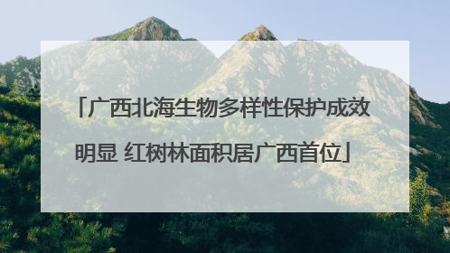 广西北海生物多样性保护成效明显 红树林面积居广西首位