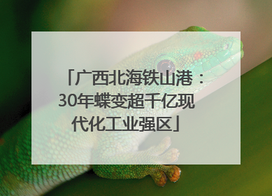 广西北海铁山港：30年蝶变超千亿现代化工业强区