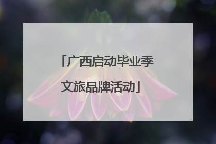 广西启动毕业季文旅品牌活动