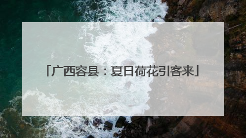 广西容县：夏日荷花引客来