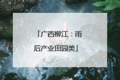 广西柳江：雨后产业田园美