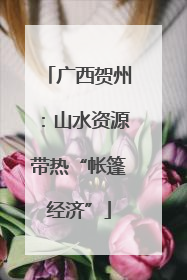 广西贺州：山水资源带热“帐篷经济”