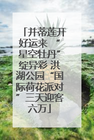 并蒂莲开好运来 “星空牡丹”绽异彩 洪湖公园“国际荷花派对”三天迎客六万