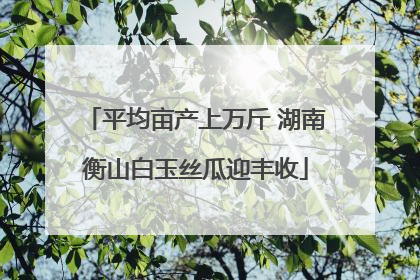 平均亩产上万斤 湖南衡山白玉丝瓜迎丰收