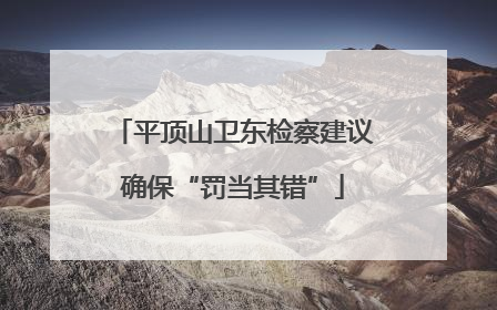 平顶山卫东检察建议确保“罚当其错”