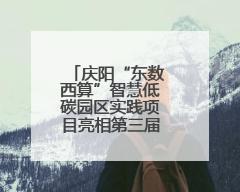 庆阳“东数西算”智慧低碳园区实践项目亮相第三届上海碳博会