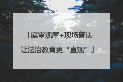 庭审观摩+现场普法 让法治教育更“直观”