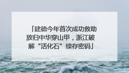建德今年首次成功救助放归中华穿山甲，浙江破解“活化石”续存密码