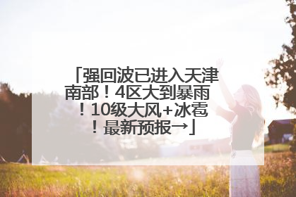 强回波已进入天津南部！4区大到暴雨！10级大风+冰雹！最新预报→
