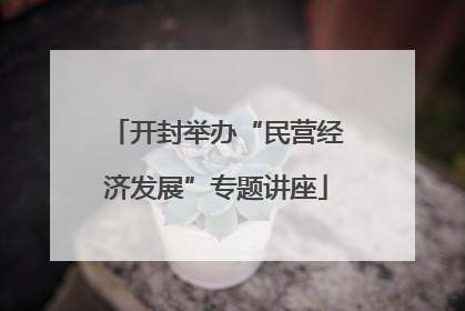 开封举办“民营经济发展”专题讲座