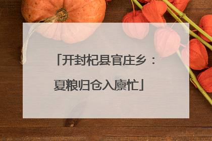 开封杞县官庄乡：夏粮归仓入廪忙