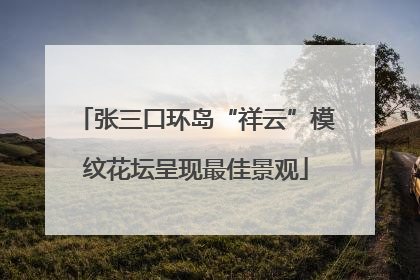 张三口环岛“祥云”模纹花坛呈现最佳景观