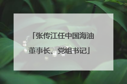 张传江任中国海油董事长、党组书记