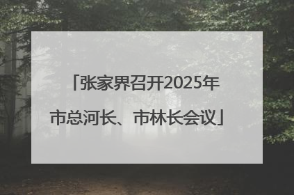张家界召开2025年市总河长、市林长会议