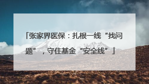 张家界医保：扎根一线“找问题”，守住基金“安全线”