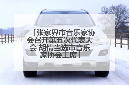 张家界市音乐家协会召开第五次代表大会 胡情当选市音乐家协会主席