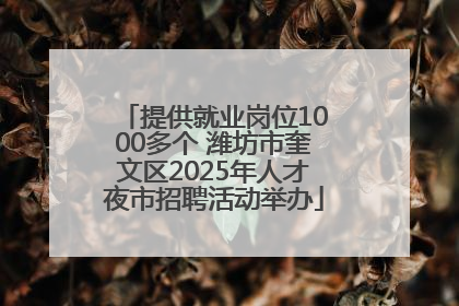 提供就业岗位1000多个 潍坊市奎文区2025年人才夜市招聘活动举办