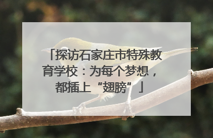 探访石家庄市特殊教育学校：为每个梦想，都插上“翅膀”