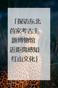 探访东北首家考古主题博物馆 近距离感知红山文化