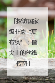 探访国家级非遗“夏布绣”：指尖上的丝线传奇
