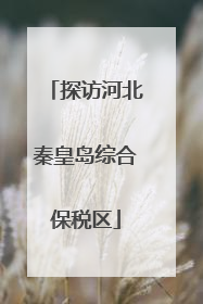 探访河北秦皇岛综合保税区
