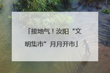 接地气！汝阳“文明集市”月月开市
